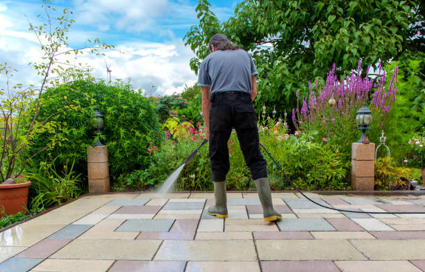 Best Sidewalk and Walkway Cleaning  in , OK